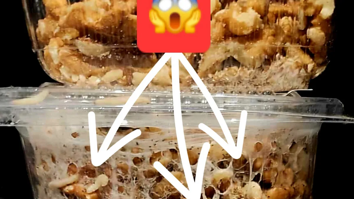 Hrvati bijesni zbog prizora u prodavnici! Na rafama sa orašastim plodovima, zatekli jeziv detalj