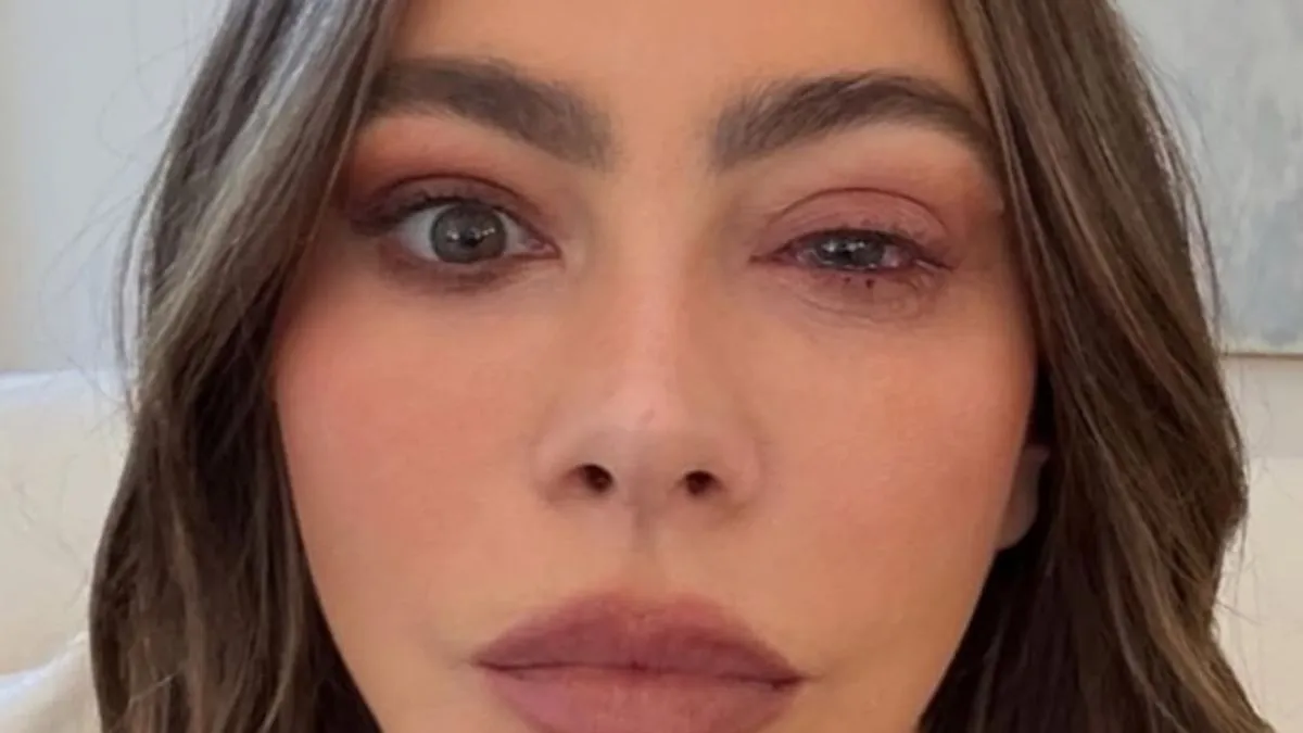 Inače, Sofia je trebala biti jedna od voditeljica dodjele nagrada Emmy