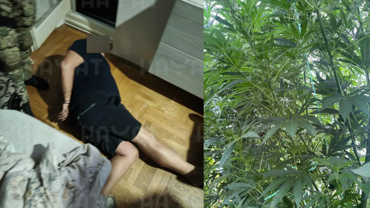 Pogledajte ekskluzivne snimke akcije 'Prolom 2' MUP-a RS i EUROPOL-a: Osam osoba uhapšeno