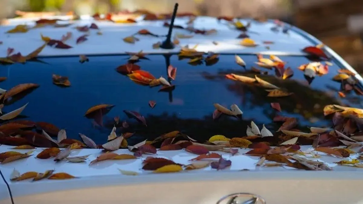 Na sjevernoj hemisferi zvanično danas u 18:19 sati počinje jesen.
