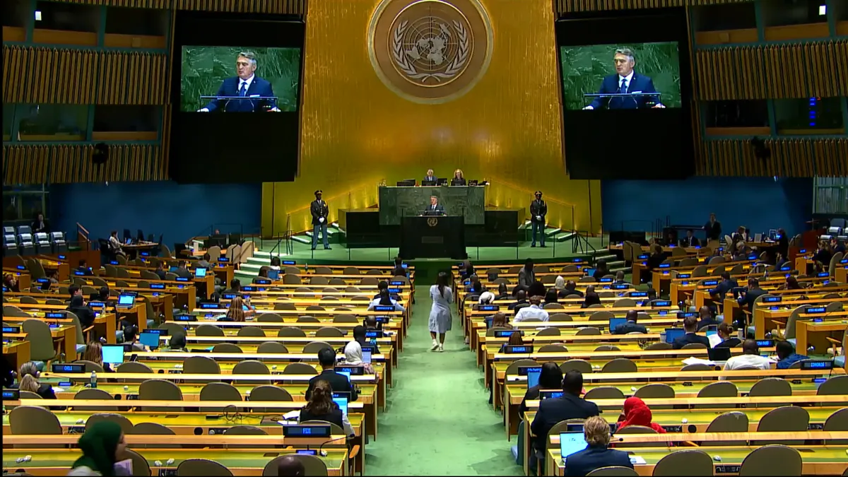 Komšić pred UN-om: Jučer smo imali embargo na oružje, a danas na demokratiju i ljudska prava!