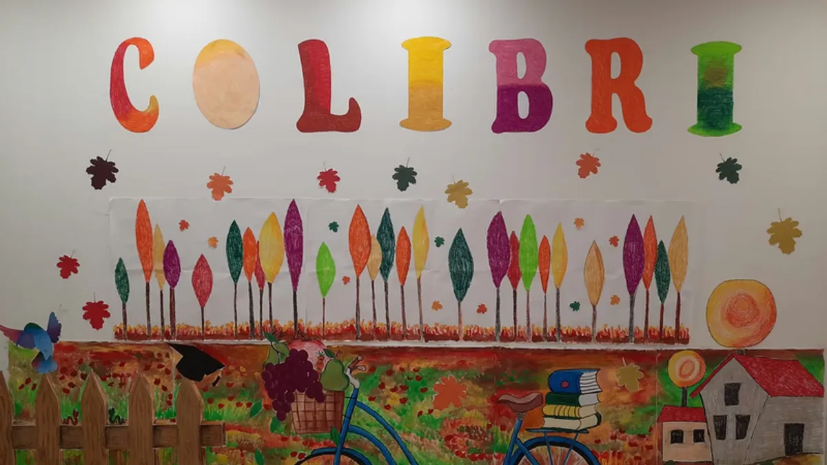 Iz Colibrija ističu da se ovakvim postupanjem vlasti vrši sistemska segregacija i diskriminacija djece s autizmom...