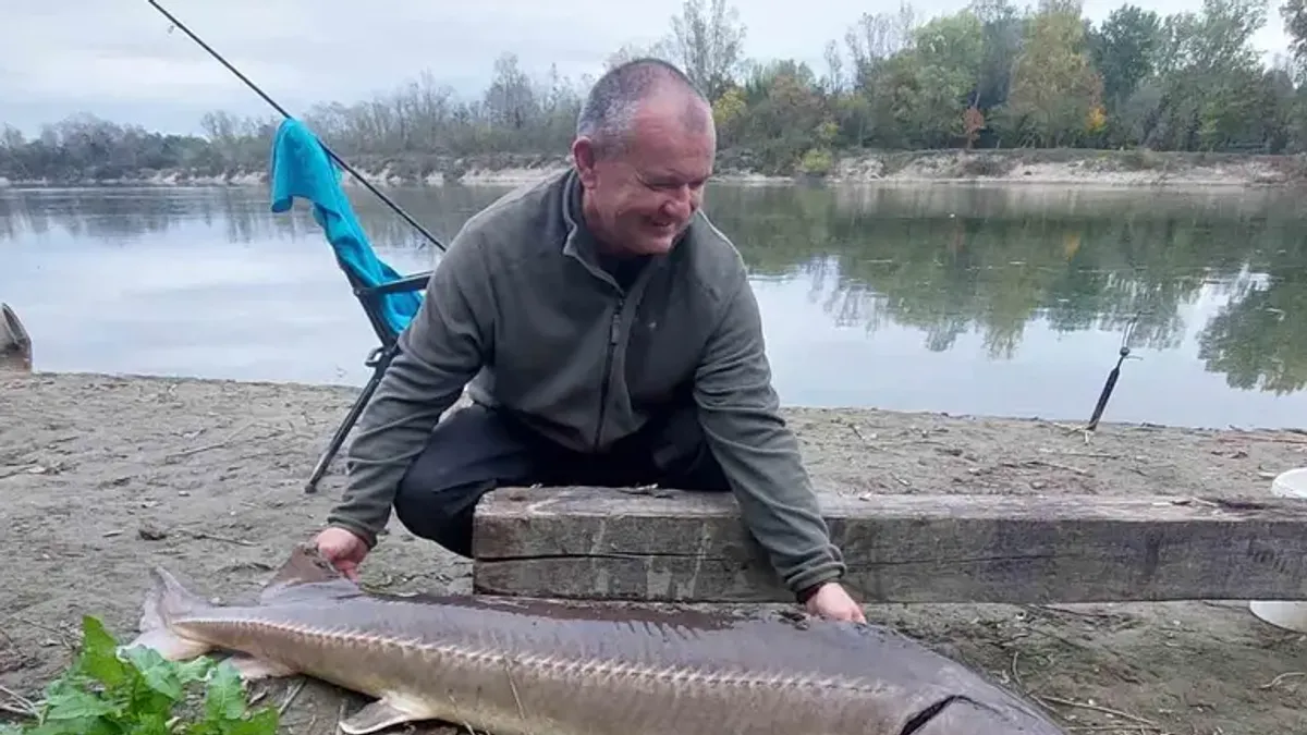 Jesetra ga je iznenadila svojom snagom, ali i spektaklom kojeg je proživio čim se ulovila na udicu