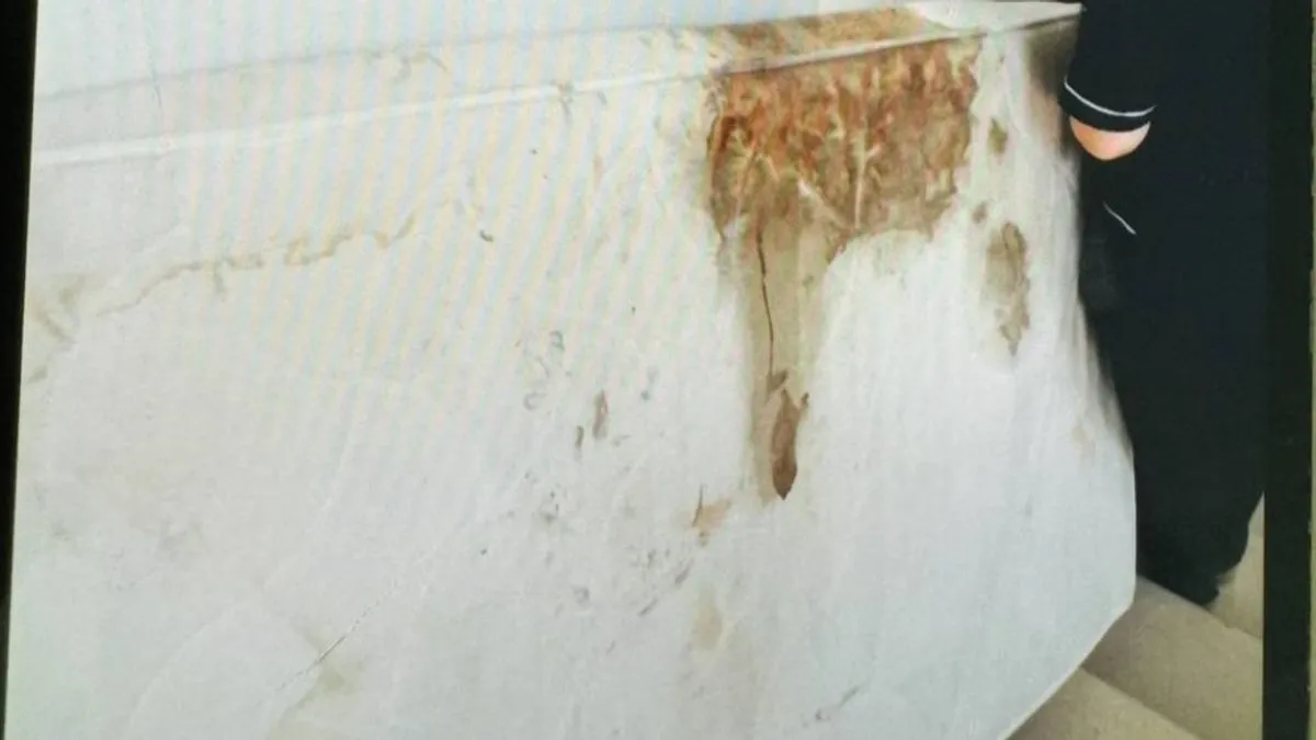 Izetbegović objavila poruke: Politika je tjerala ljekare iz KCUS-a, pacijenti ostali bez nadzora