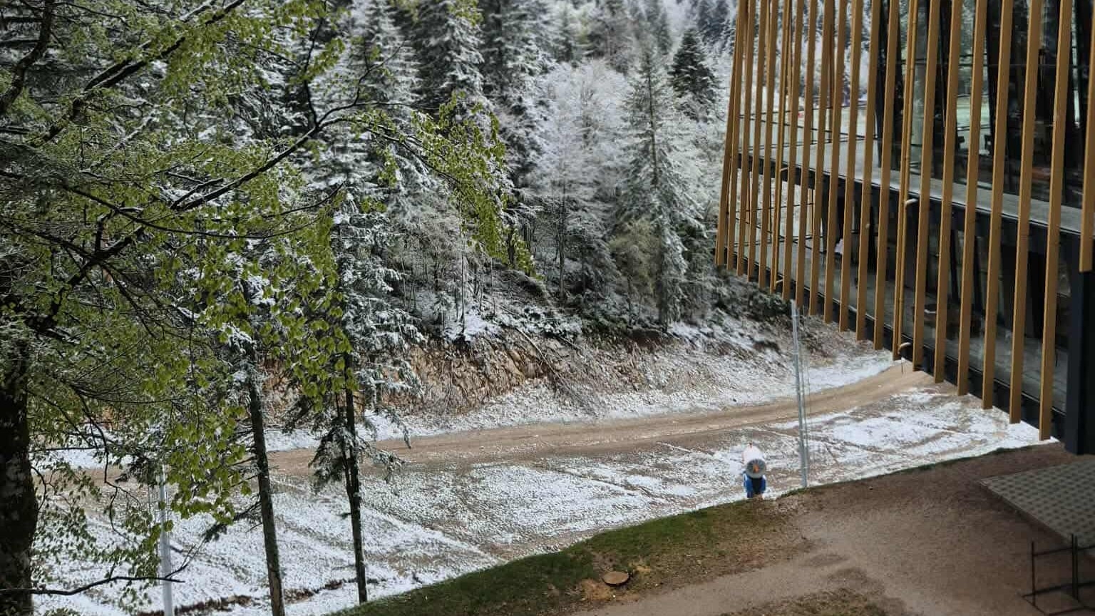 function r(){if(st(n),n.value===iy){let o=null;throw new M(-950,o)}return n.value}