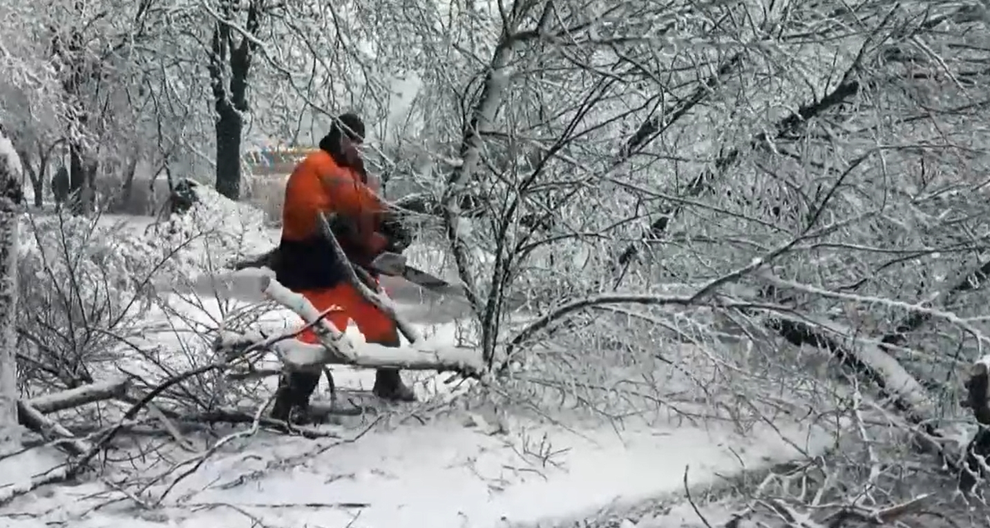 function r(){if(it(n),n.value===Hm){let o=null;throw new D(-950,o)}return n.value}