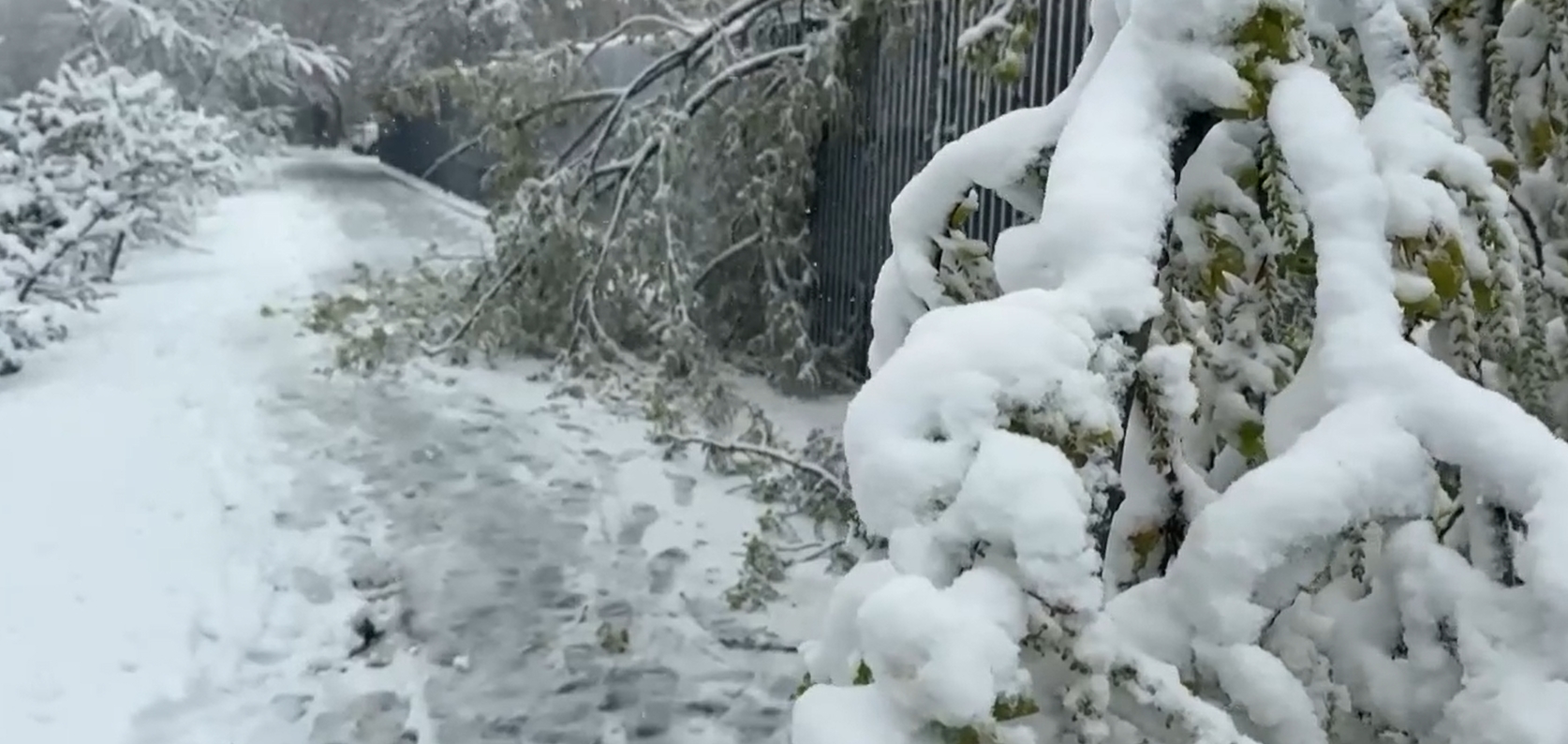 function r(){if(it(n),n.value===Hm){let o=null;throw new D(-950,o)}return n.value}