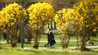 Proljeće u Sarajevu