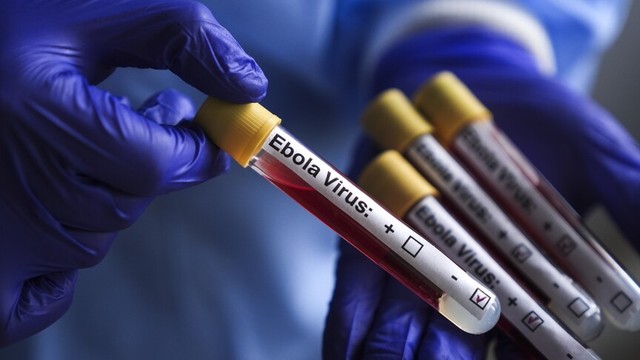 Ebola virus - analiza