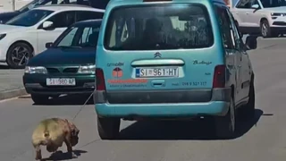 Šibenik