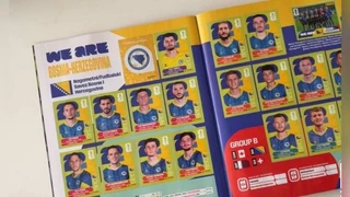 Panini album
