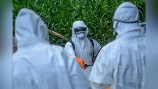 Ebola
