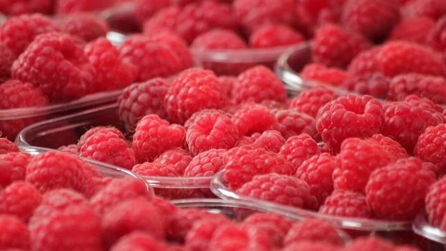 Maline