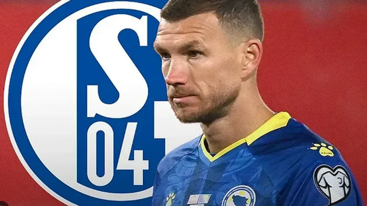  Schalke na genijalan način potvrdio dolazak Edina Džeke