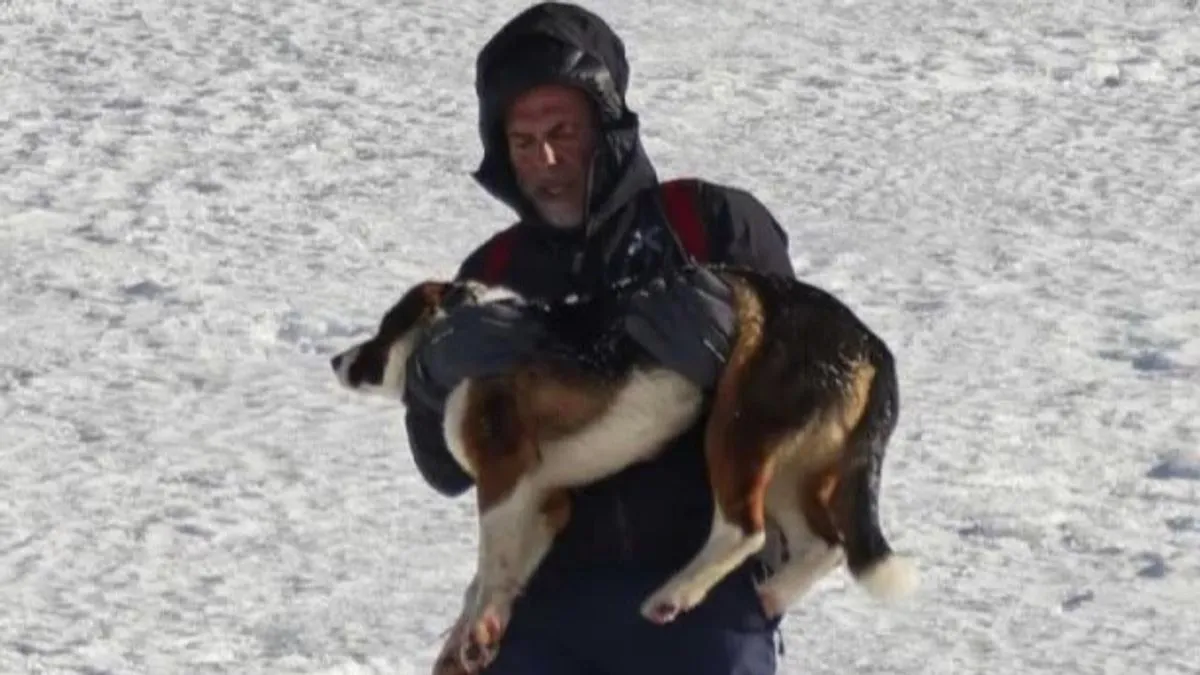 Gibović je, uprkos zahtjevnim vremenskim i terenskim uslovima, uspio prići životinji, uzeti je u naručje.