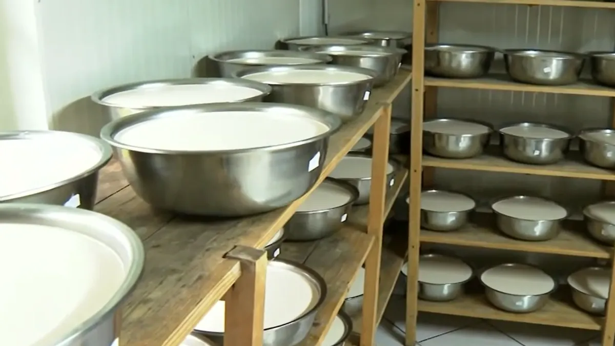 Farma u BiH nudi građanima mlijeko po cijeni 1 KM: Nemamo gdje sa njim, put nije očišćen