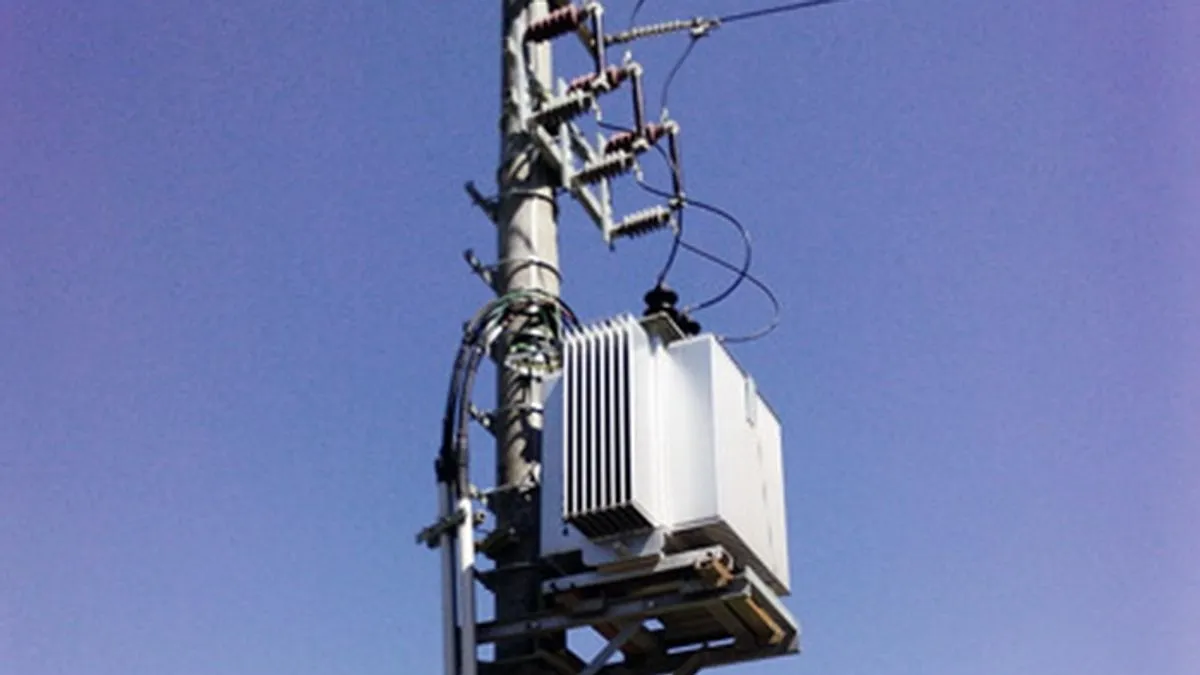 Cijeli komšiluk ostao bez struje zbog lisice u trafostanici