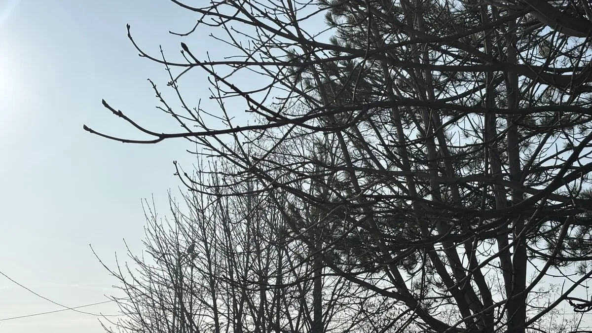 Zagađenje zraka u Kaknju: Mi moramo da radimo, krećemo, a ne možemo