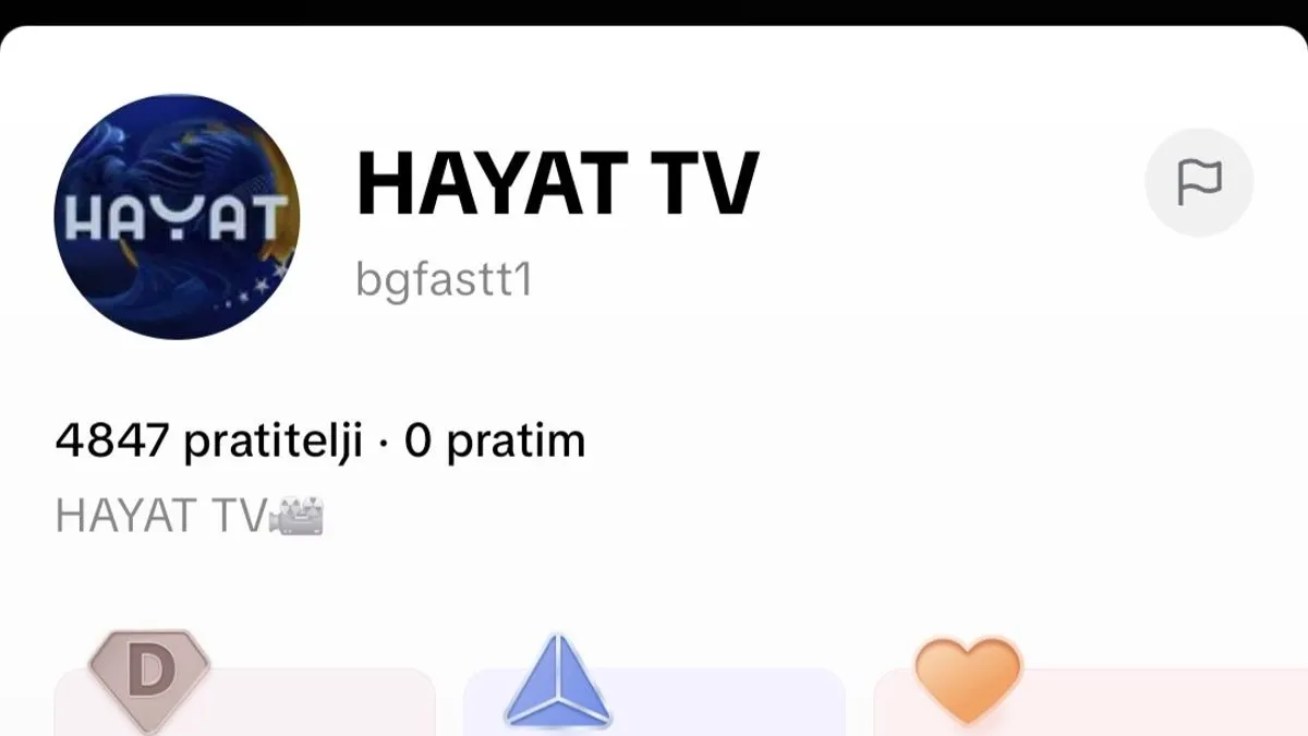 Hayat meta internet prevare: Lažni TikTok kanal skuplja donacije!