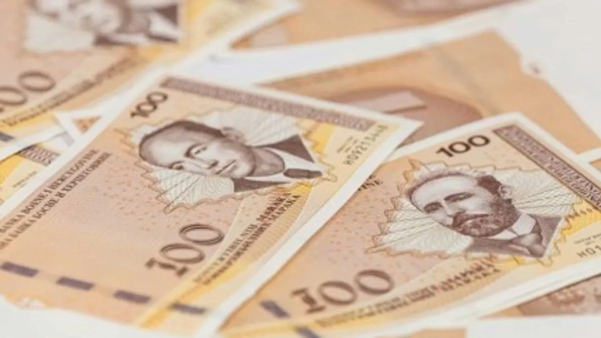 Sva djeca do 7 godina u FBiH dobijaju dječji dodatak? Donosimo detalje novog plana