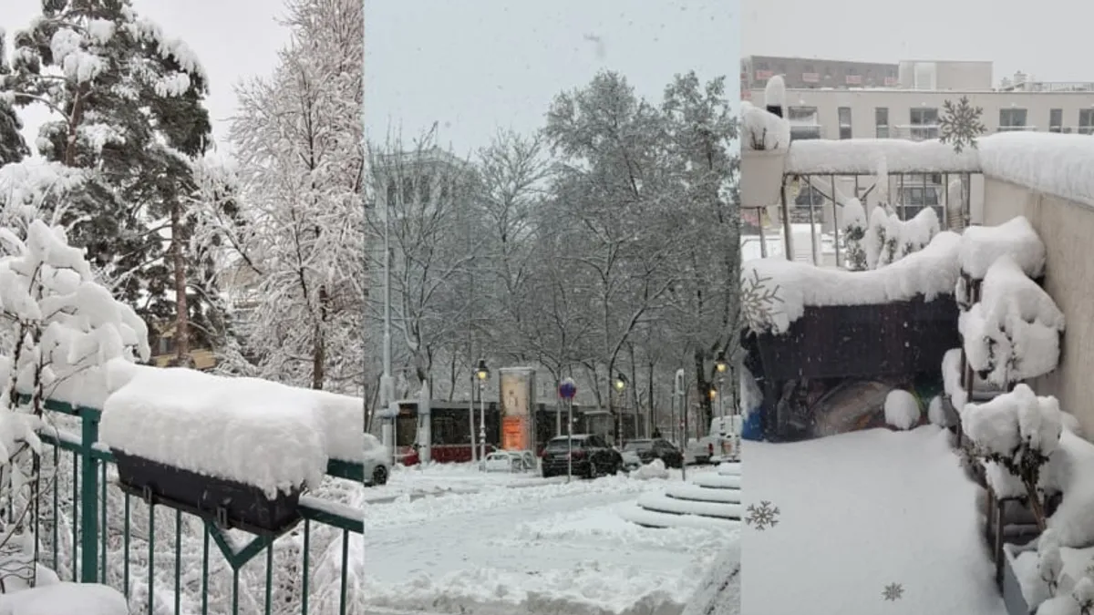 Zimska oluja paralizirala Austriju: Lavina zatrpala autobus, zatvoren aerodrom u Beču 