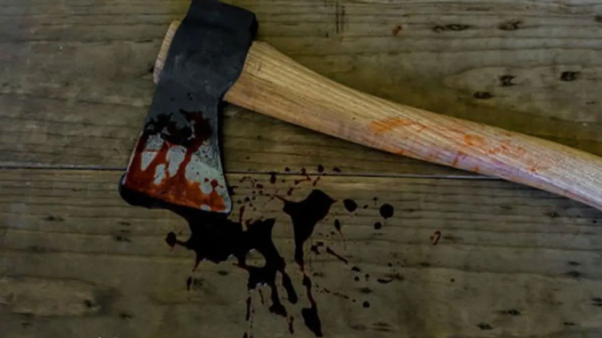 Užasan zločin: Sjekirom ubio majku, očuha i nanu!